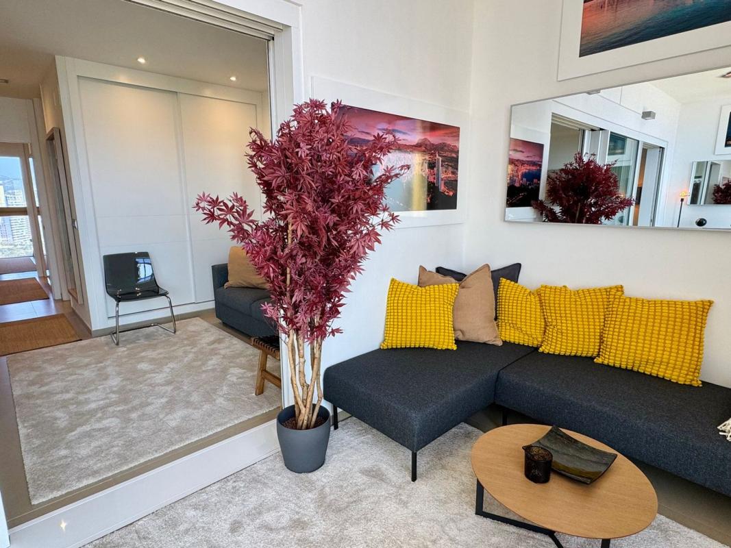 Venta de piso en Piso en Avenida de Mejico, 7, Playa de Poniente, Benidorm, Benidorm
 photo 5