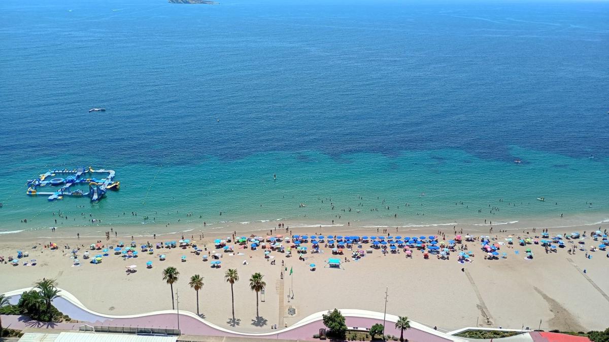 Venta de piso en Piso en Avenida de Xixo, 2, Playa de Poniente, Benidorm, Benidorm
photo 3