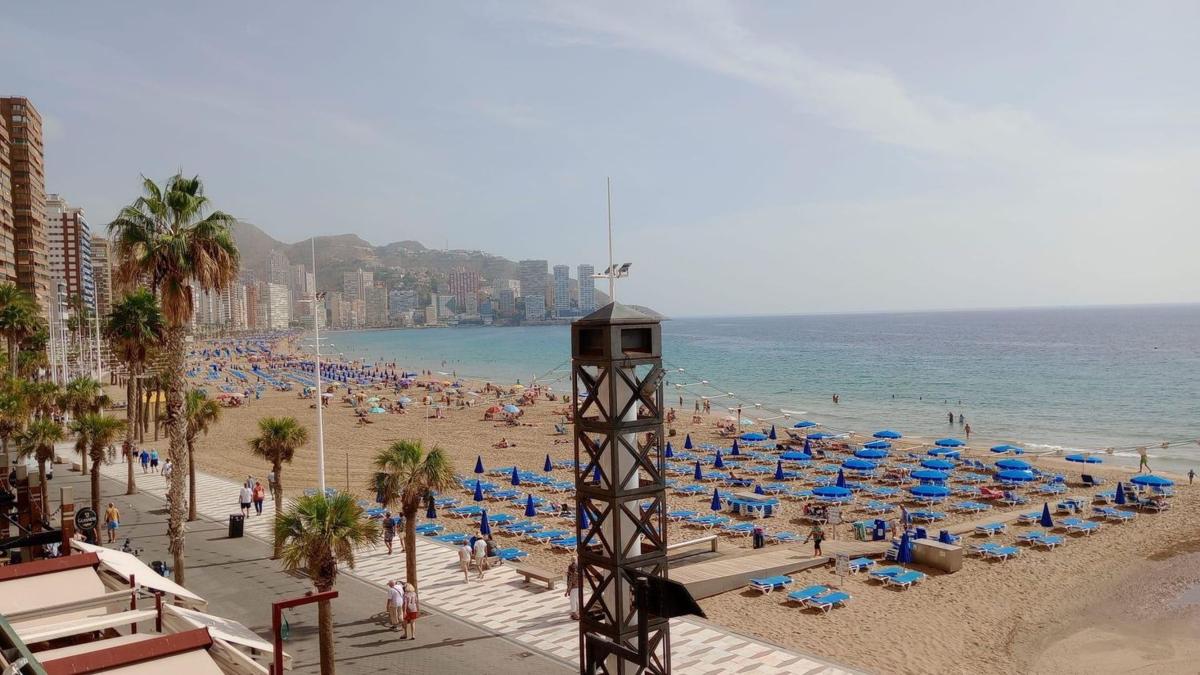 Venta de piso en Piso en Calle de Valencia, Playa de Levante, Benidorm, Benidorm
 photo 3