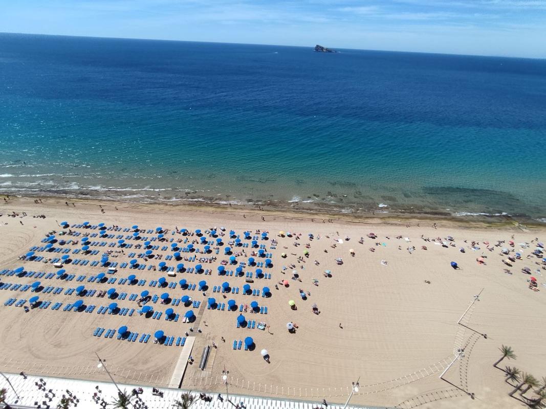 Venta de piso en Piso en Avenida de Madrid, Playa de Levante, Benidorm, Benidorm
photo 5