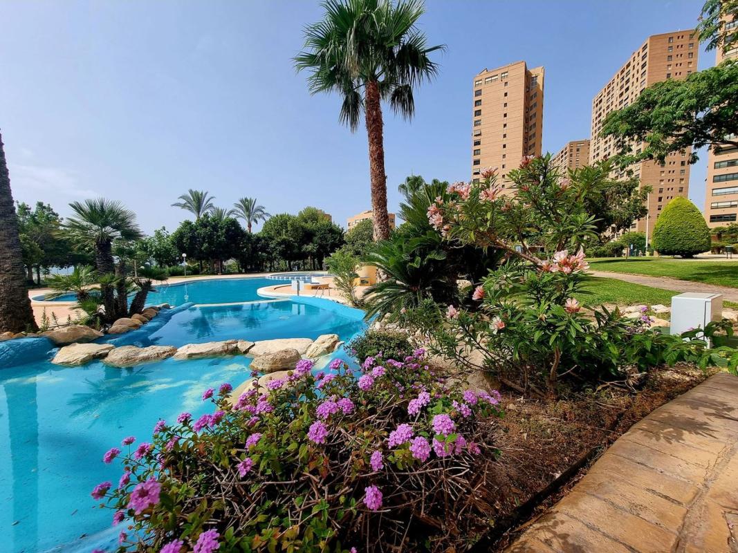 Venta de piso en Piso en Avenida Murtal, Playa de Poniente, Benidorm, Benidorm
 photo 5