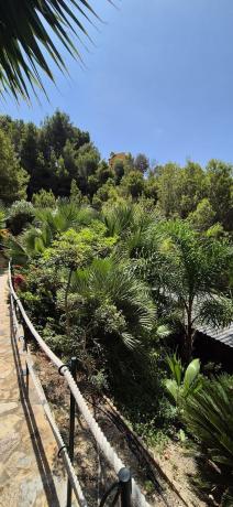 Casa o chalet independiente en Calle Bugambillas, 41, Altea Hills, Altea photo 4