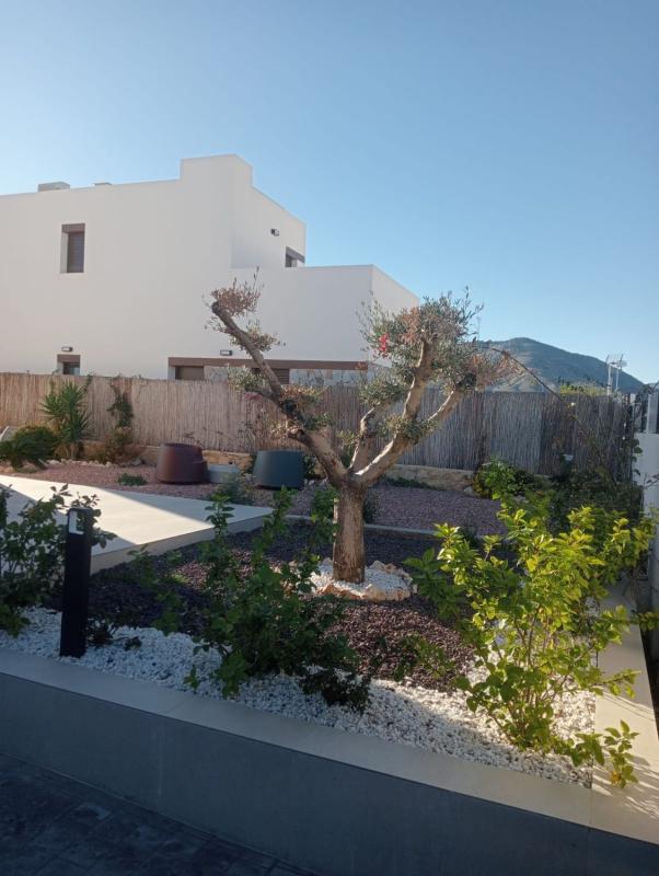 Properties for sale and rent in Spain photo 5
