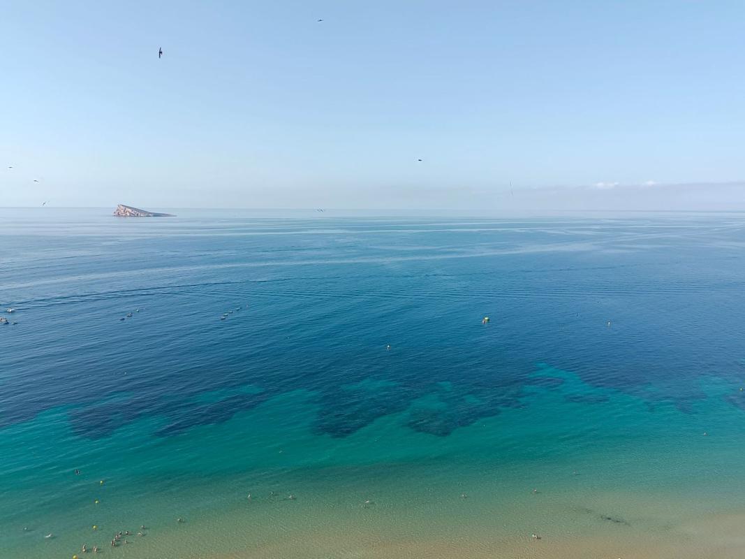 Продажа квартиры на Piso en Av Armada Española, 3, Playa de Poniente, Benidorm, Бенидорм
photo 4