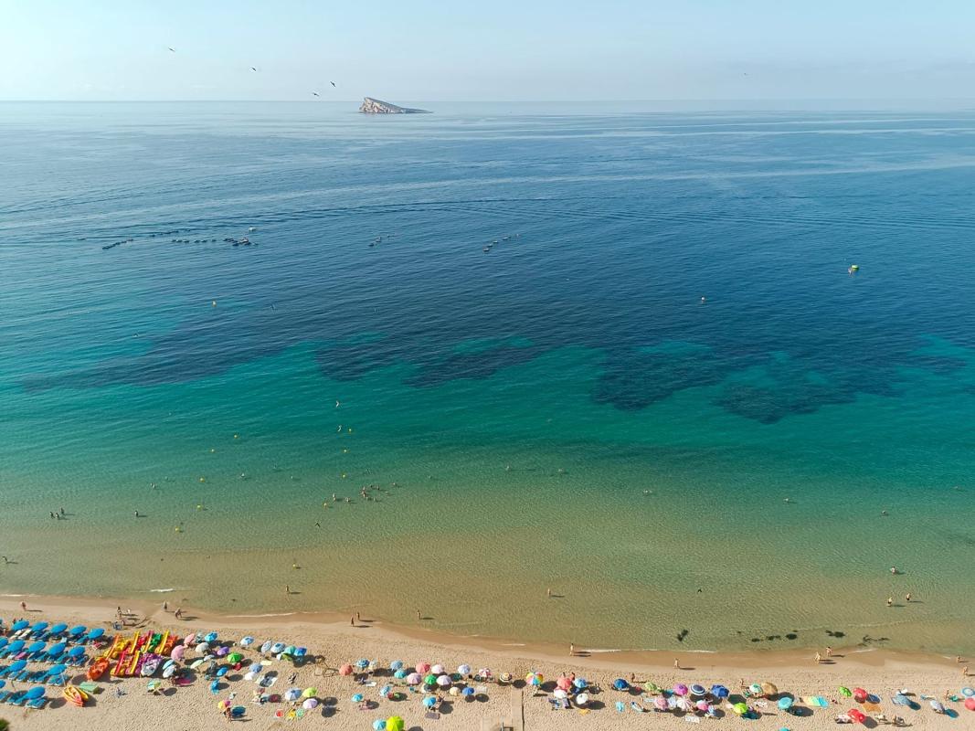 Продажа квартиры на Piso en Av Armada Española, 3, Playa de Poniente, Benidorm, Бенидорм
photo 5