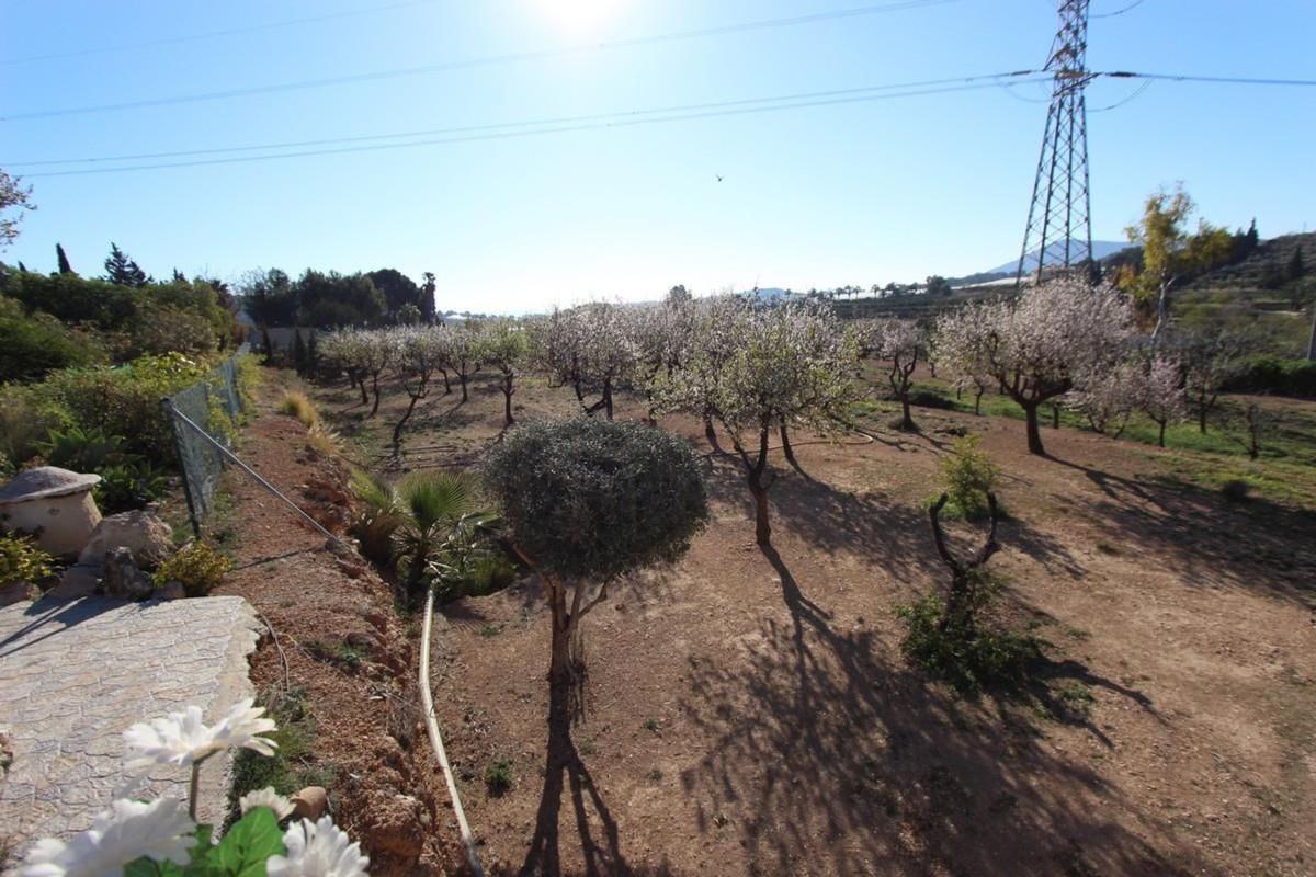 Properties for sale and rent in Spain photo 4