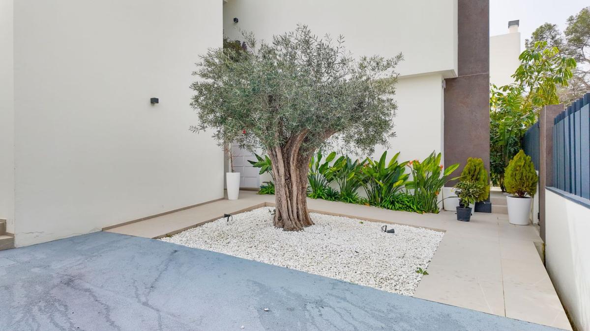 Properties for sale and rent in Spain photo 4