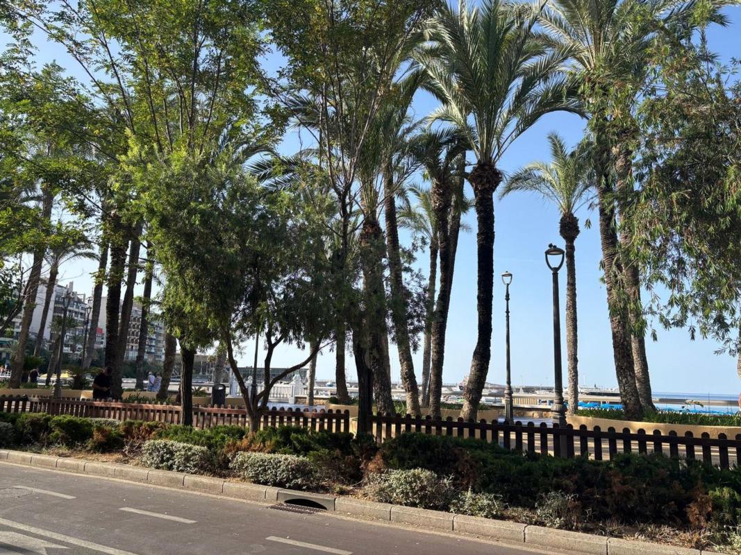 Działka na sprzedaż w Benidorm, Alicante photo 5