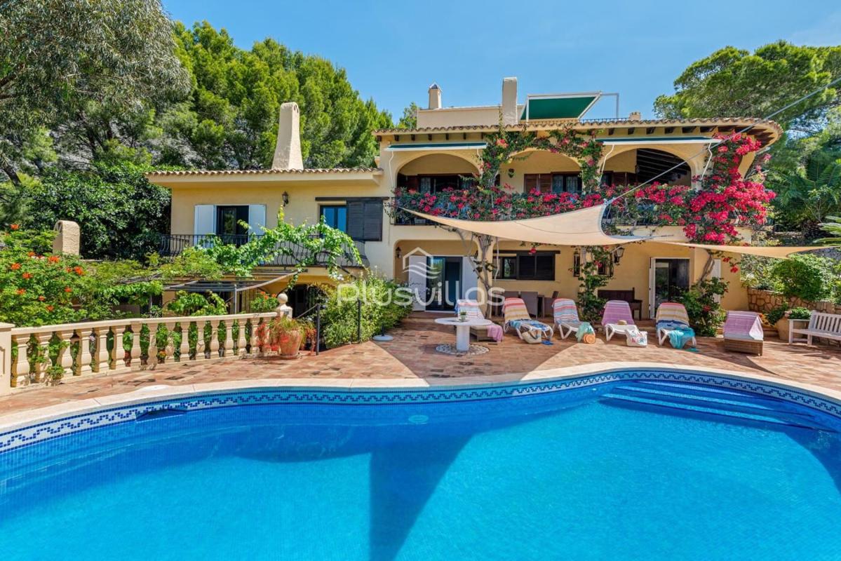 Properties for sale and rent in Spain photo 5