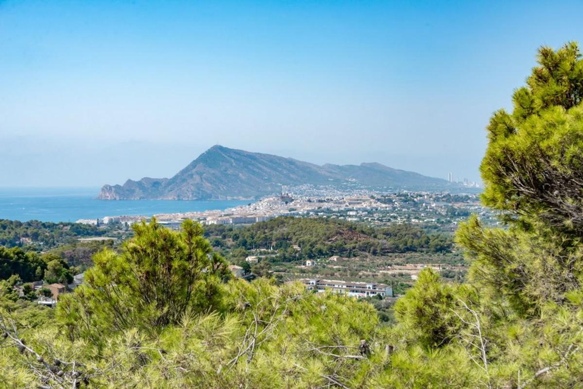 Properties for sale and rent in Spain photo 2