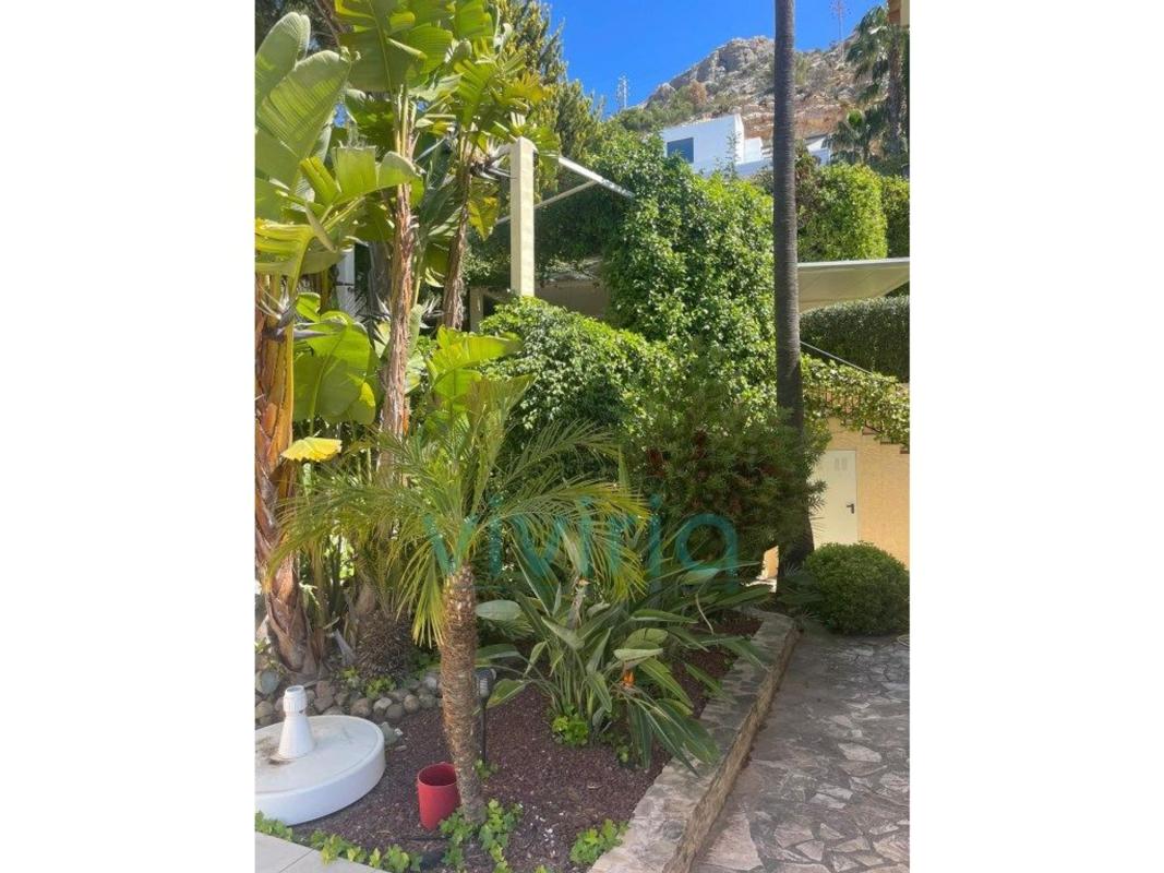 Properties for sale and rent in Spain photo 5