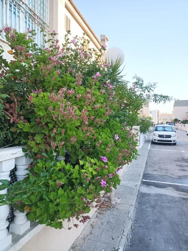 Properties for sale and rent in Spain photo 1