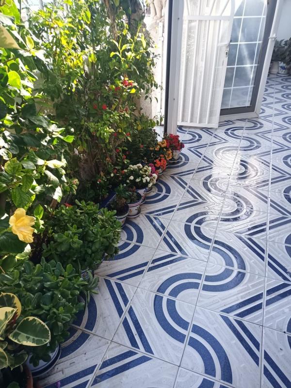 Properties for sale and rent in Spain photo 5