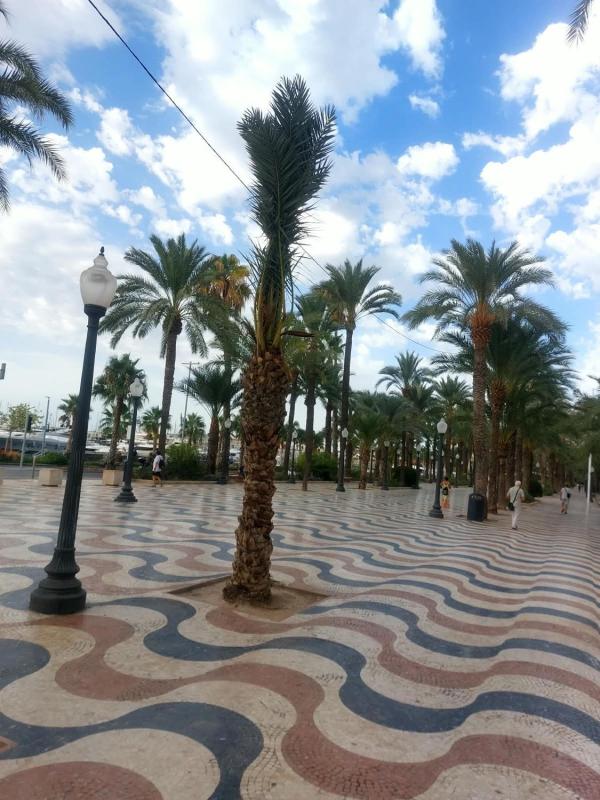 Sprzedaż mieszkania w Piso en Calle Reis Catòlics, Ensanche-Diputación, Alicante / Alacant, Alicante / Alacant
photo 5