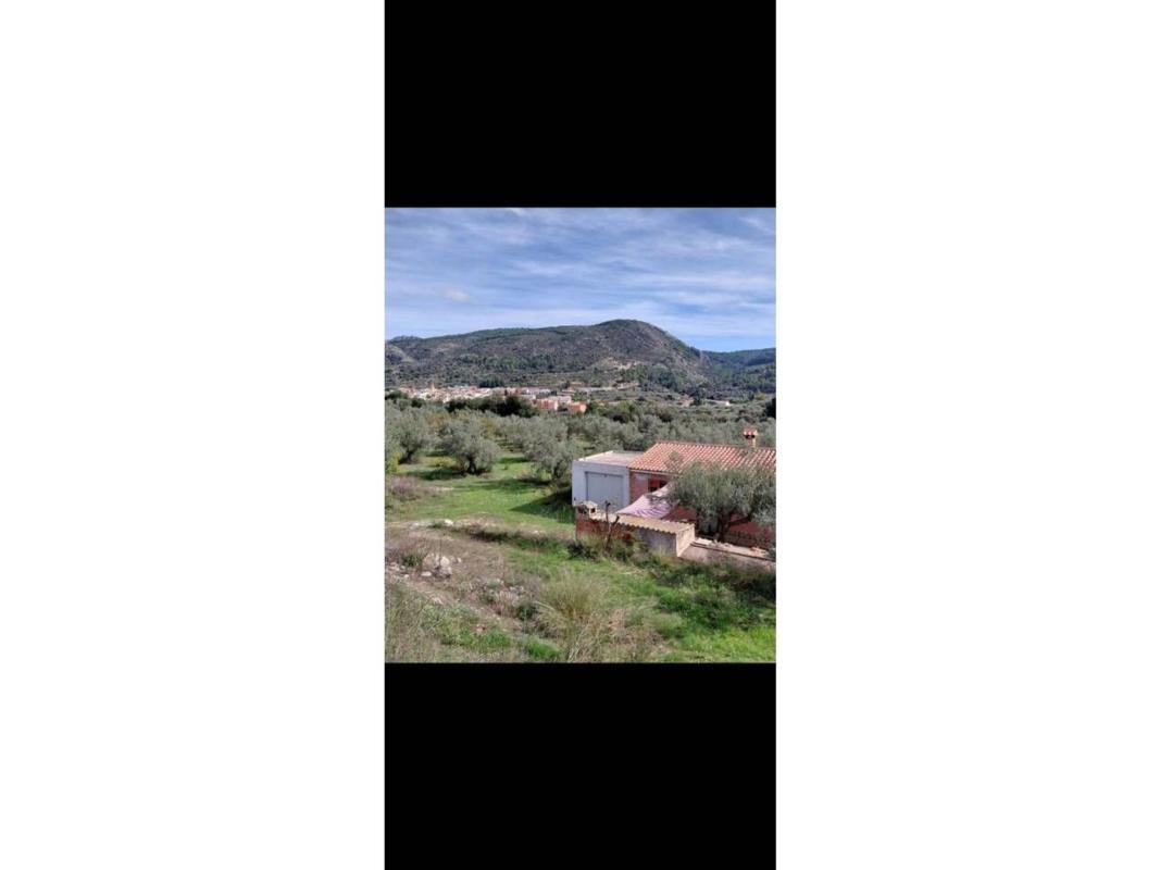 Sprzedaż działki rolnej w Finca rústica en Castell de Castells , Castell de Castells photo 1