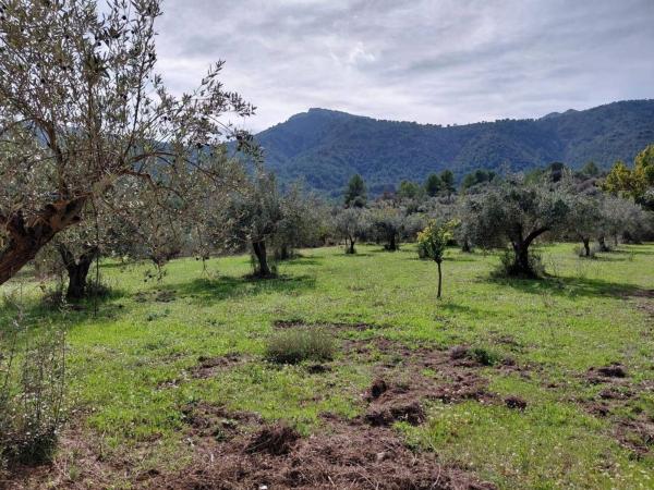 Finca rustykalna na sprzedaż w Finca rústica en Castell de Castells , Castell de Castells thumbnail 2