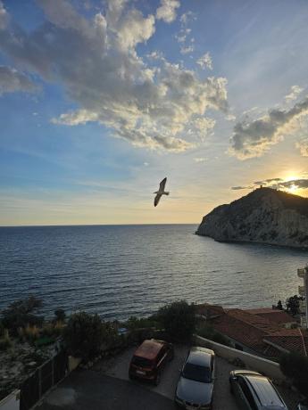 Продажа квартиры на Piso en Playa de Poniente, Benidorm, Бенидорм
 photo 1