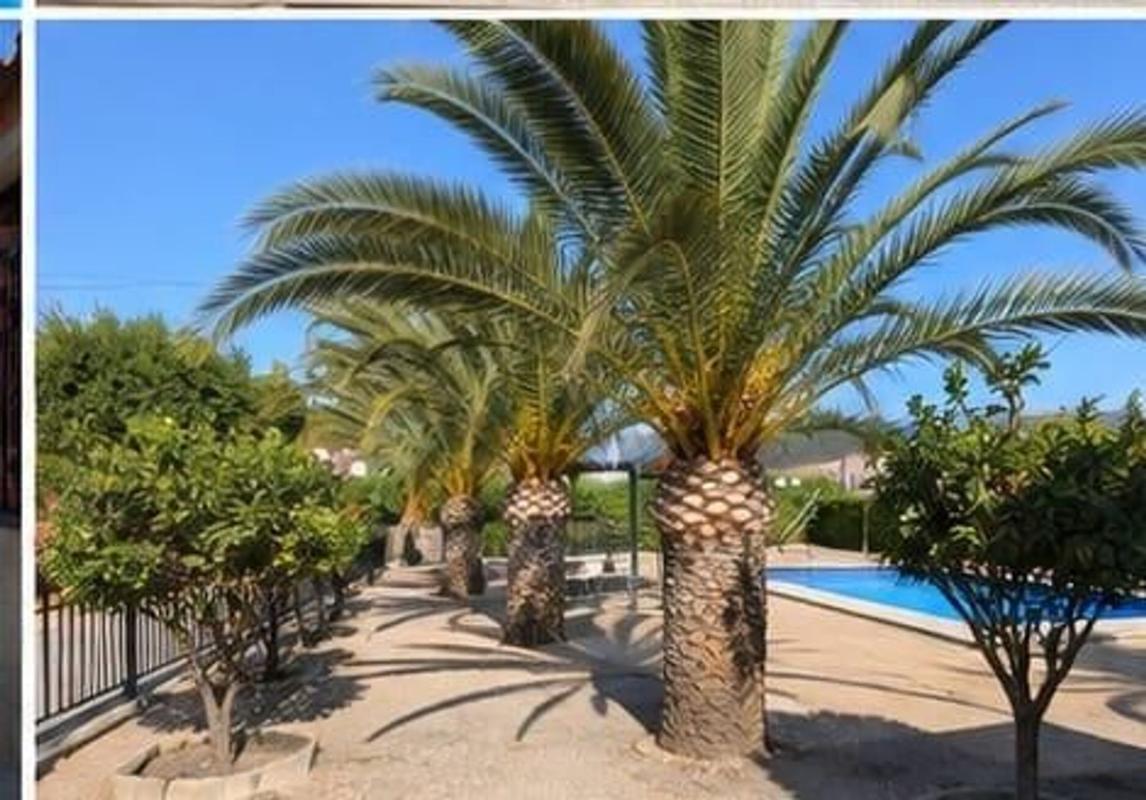 Продажа загородного участка в Finca rústica en Sax , Сакс photo 2
