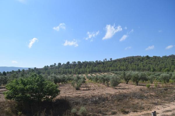 Terreno en Calera, km 2, Cañada photo 1