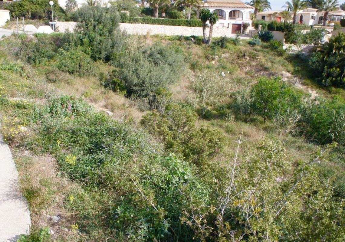 Działka na sprzedaż w Benitachell, Alicante photo 4