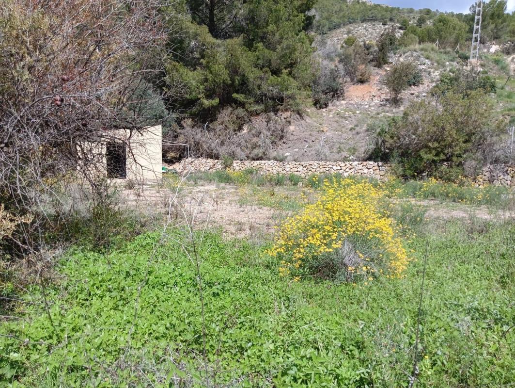 Terreno en venta en Callosa d''En Sarria, Alicante photo 2