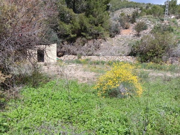 Terreno en Partida Onaer, 5, Callosa d'En Sarria photo 2