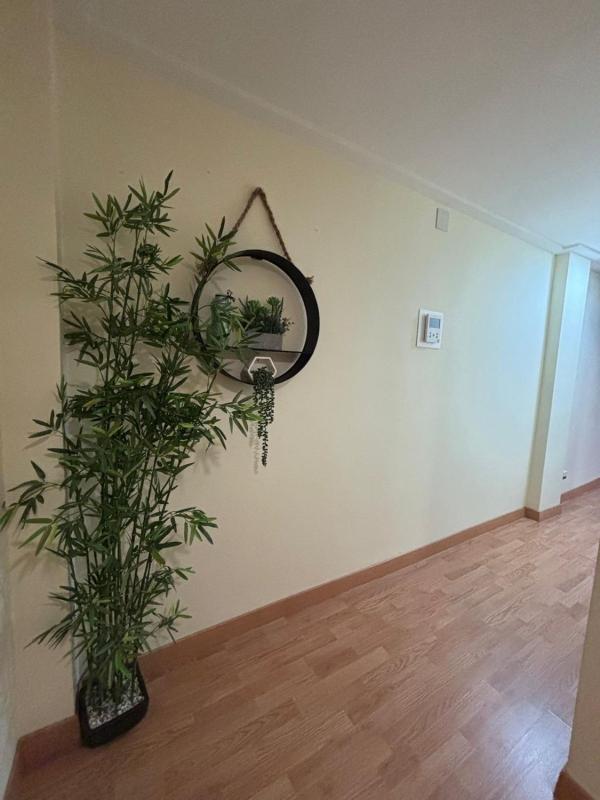 Продажа квартиры на Piso en Pont Nou-Corazón de Jesús, Elche / Elx, Эльче / Эльх
 photo 5