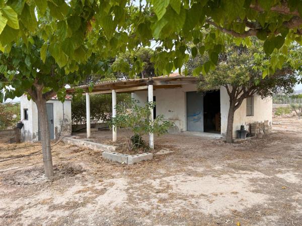 Rustic farm for sale in  Finca rústica en Partida, Novelda , Novelda photo 1