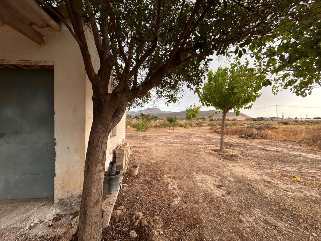 Sale of rural property in Finca rústica en Partida, Novelda , Novelda photo 2