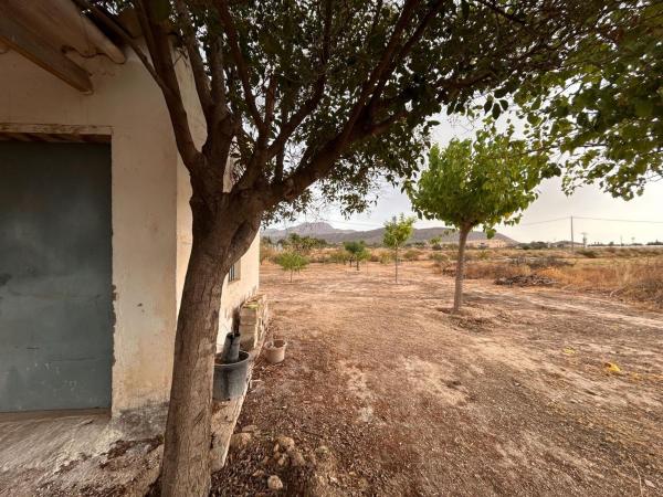 Rustic farm for sale in  Finca rústica en Partida, Novelda , Novelda photo 2