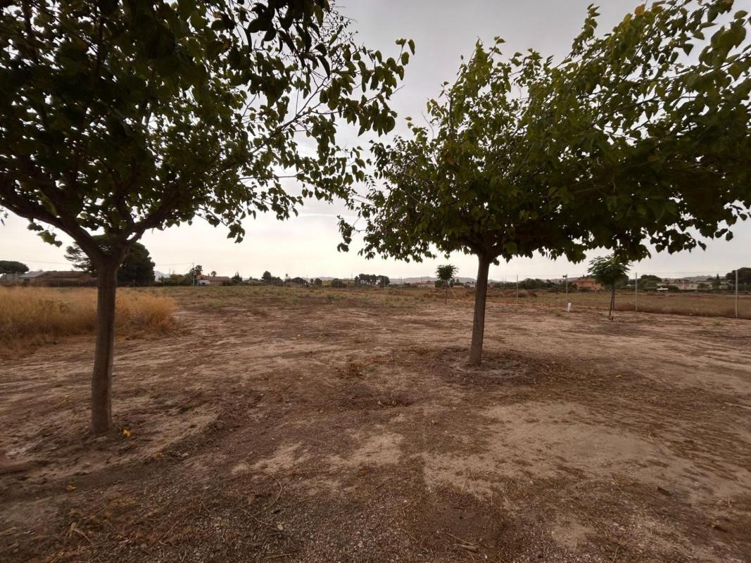 Sale of rural property in Finca rústica en Partida, Novelda , Novelda photo 3