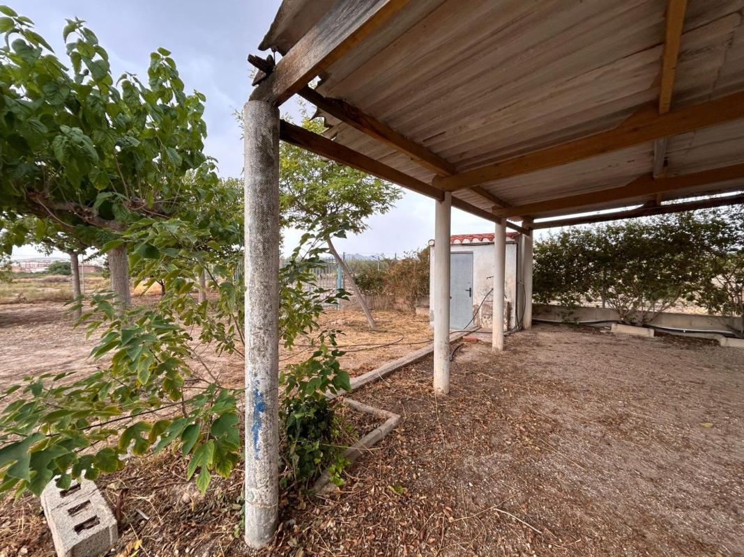 Sale of rural property in Finca rústica en Partida, Novelda , Novelda photo 4
