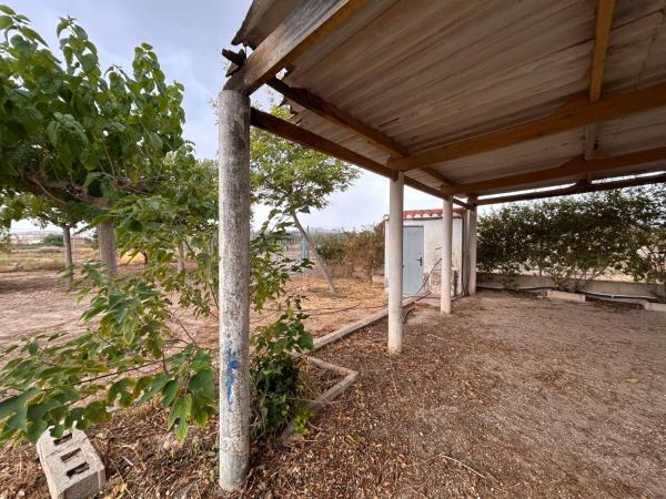 Rustic farm for sale in  Finca rústica en Partida, Novelda , Novelda photo 4