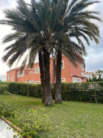 Chalet pareado en Calle Carla Vaquera, 8, Los Balcones - Los Altos del Edén, Torrevieja photo 4