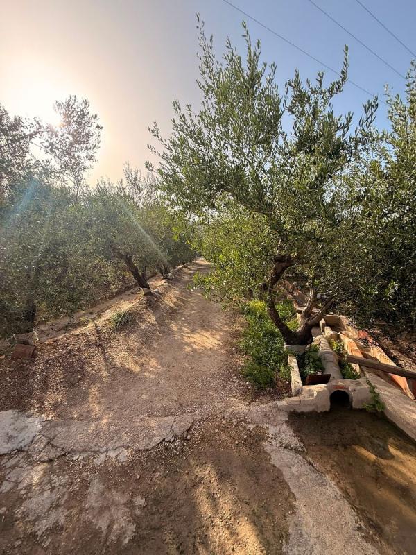Properties for sale and rent in Spain photo 3