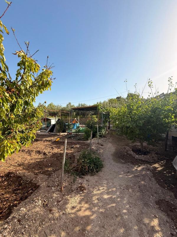 Properties for sale and rent in Spain photo 4