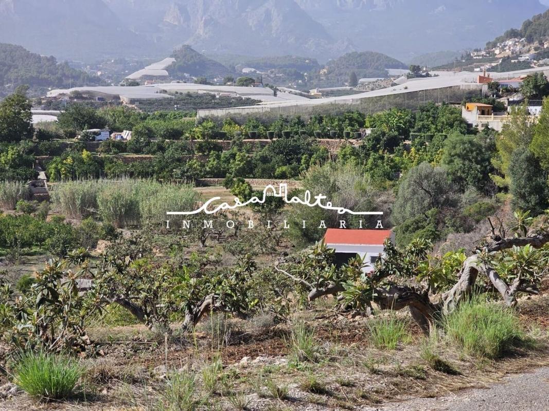 Venta de finca rústica en Finca rústica en Callosa d'En Sarria , Callosa d''En Sarria photo 5