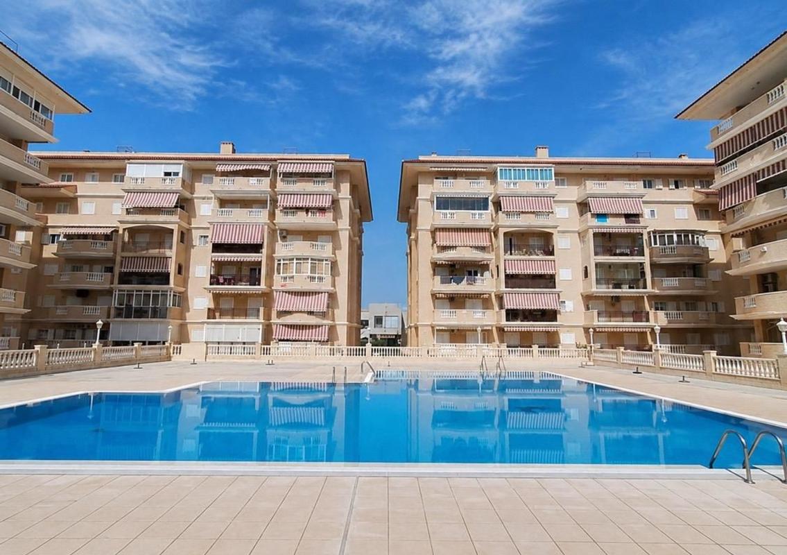 Sale of apartment in Piso en Los Europeos, Torrevieja, Torrevieja
photo 1