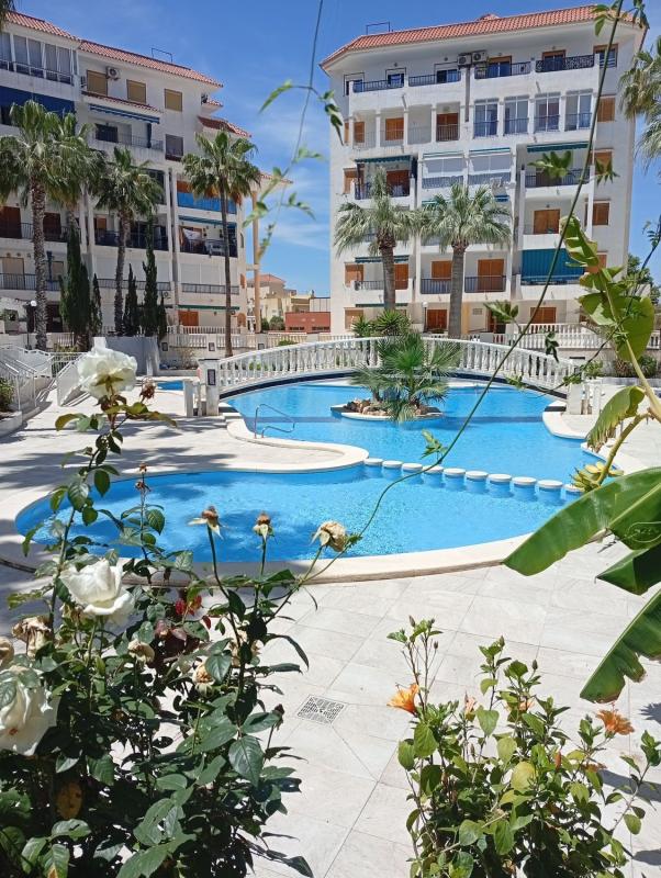 Продажа квартиры на Piso en Los Europeos, Torrevieja, Торревьеха
photo 1