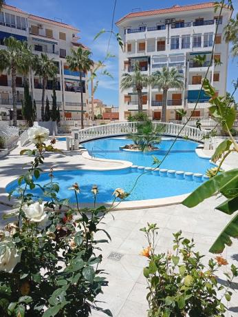 Venta de piso en Piso en Los Europeos, Torrevieja, Torrevieja
photo 1