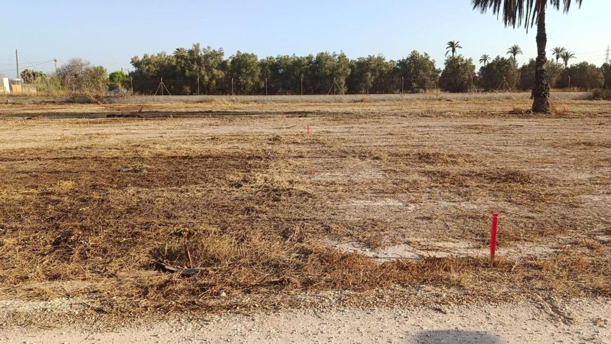 Terreno en venta en Elche / Elx, Alicante photo 2