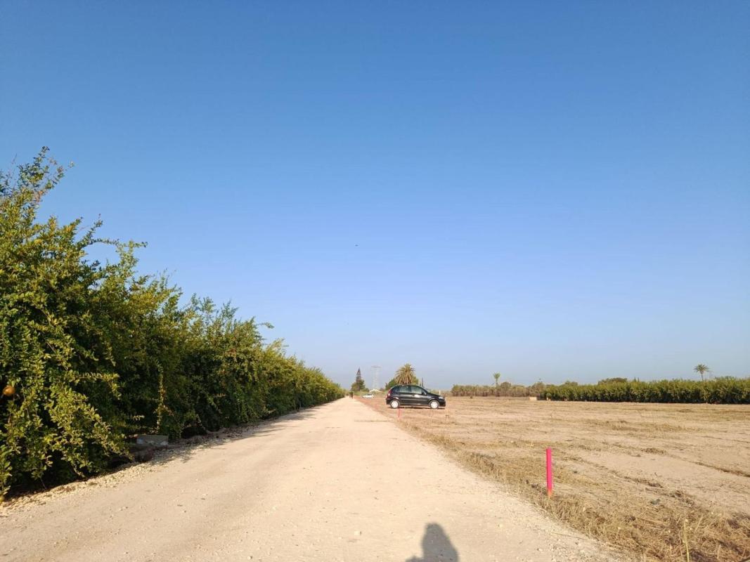 Terreno en venta en Elche / Elx, Alicante photo 3
