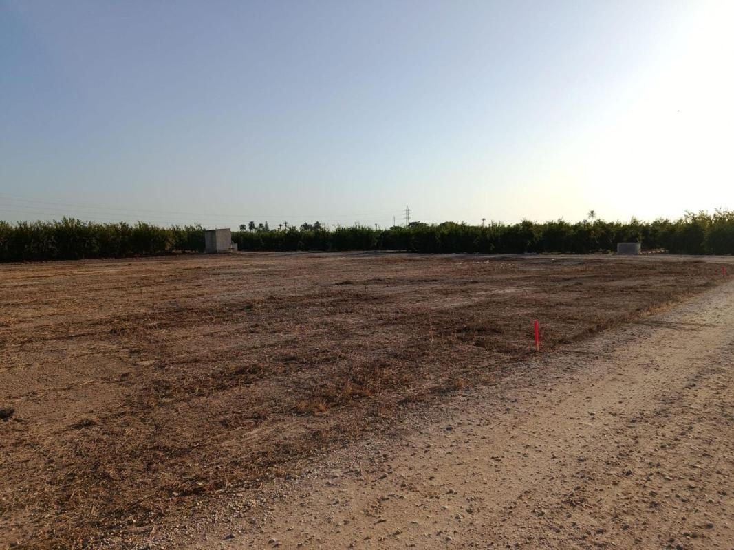 Terreno en venta en Elche / Elx, Alicante photo 5