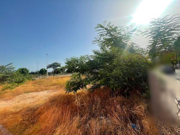 Terreno en Calle Moraira s/n, Portes Encarnades-Torreta-Portalada, Elche / Elx thumbnail 2