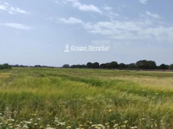 Terreno en Avenida de Valverde, Valverde, Elche / Elx thumbnail 1