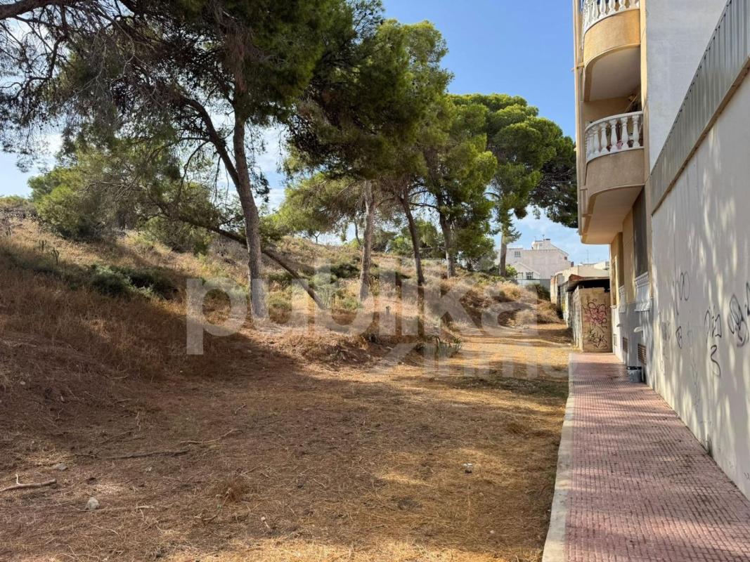 Land for sale in Guardamar del Segura, Alicante photo 3