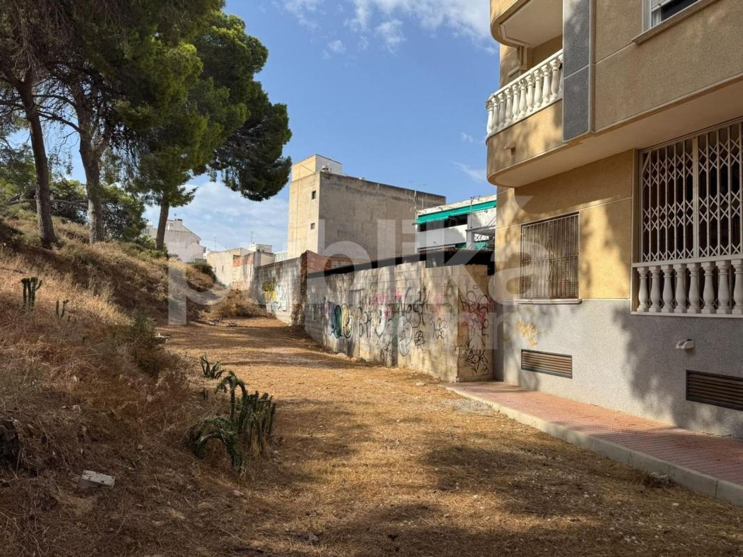 Land for sale in Guardamar del Segura, Alicante photo 5