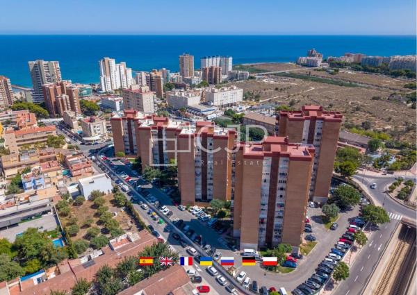 Venta de piso en Piso en Avenida Ausiàs March, Campello Playa, El Campello, El Campello
 photo 1
