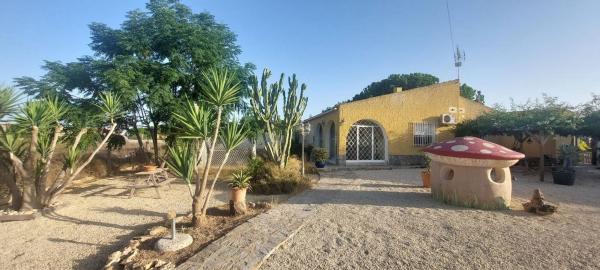 Casa o chalet independiente en El Altet - Balsares, Elche / Elx photo 1