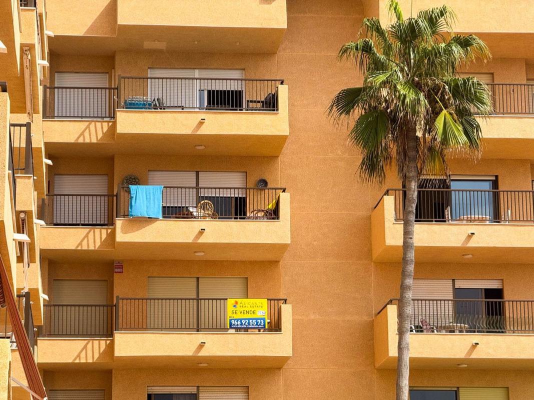 Sprzedaż mieszkania w Piso en Avenida de Alemania, Los Europeos, Torrevieja, Torrevieja
 photo 5
